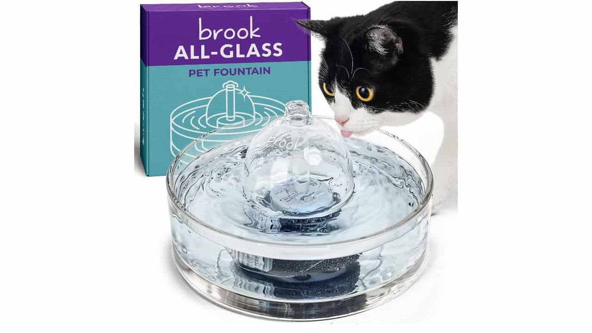 Win a BROOK all-glass cat fountain